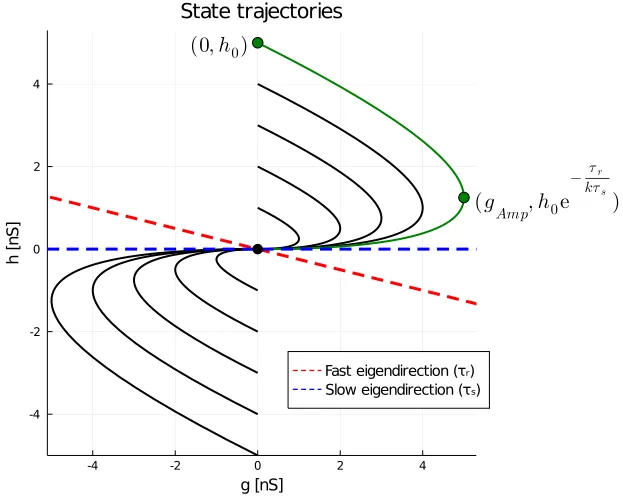 Orbit diagramme for Alpha synapses